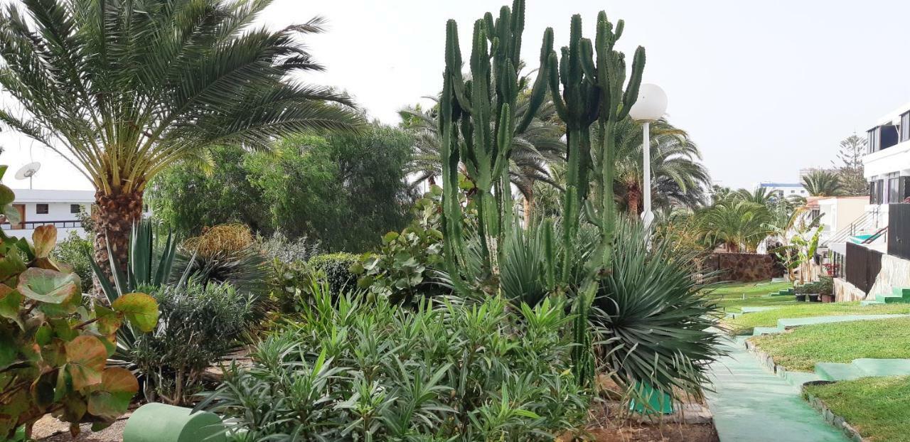 Apartment Heliopolis San Agustin (Gran Canaria)